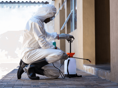 About Ocala Roach Extermination Experts - german roach extermination ocala fl experts in Ocala