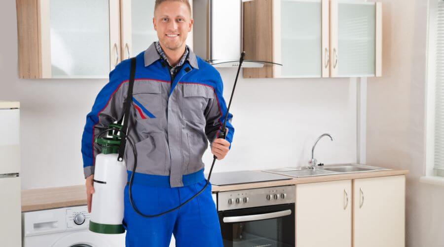 Professional german roach extermination ocala fl services in Ocala